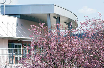 Part of the Nuffield Orthopaedic Centre building behind cherry tree in bloom