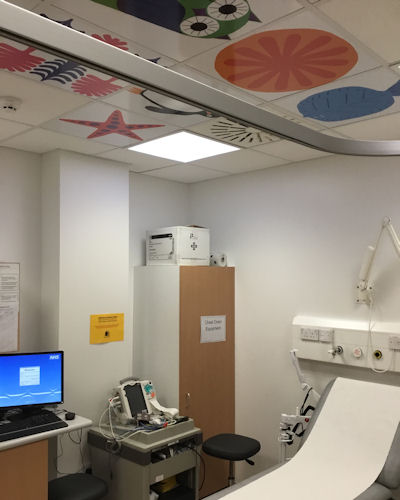A clinic room with bright pictures of owls on the ceiling