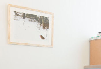 Framed image of a bird on a hospital wall