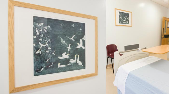 photographfor single rooms in Neurosciences