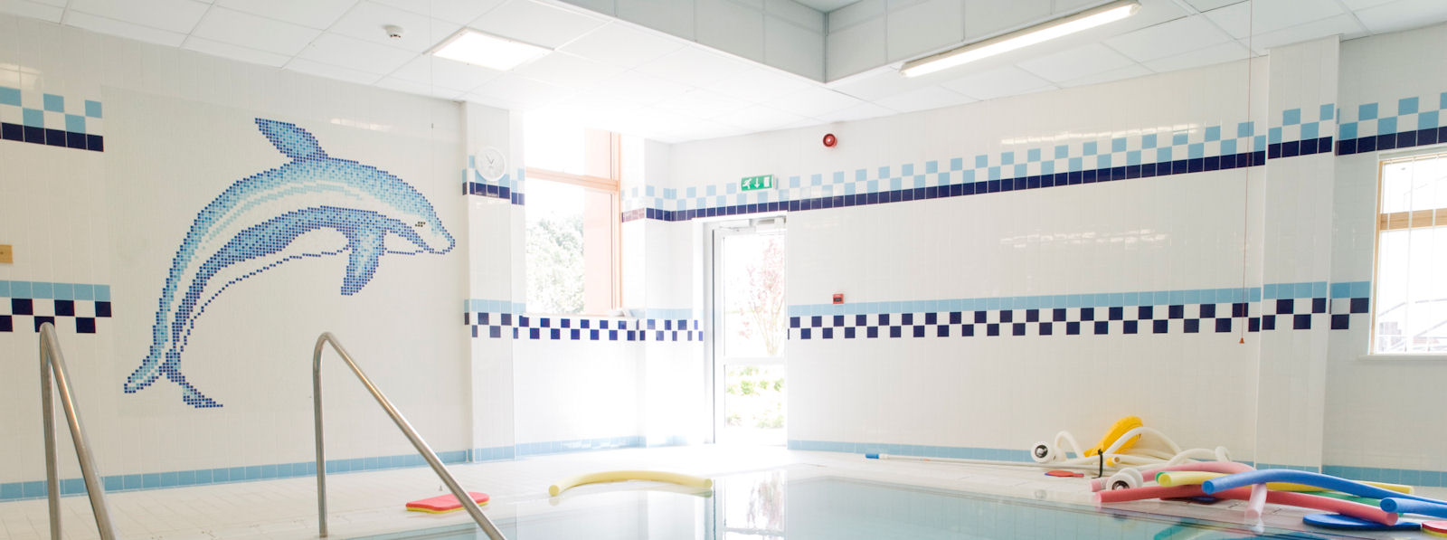 The end wall of a swimming pool area with a dolphin image on tiles