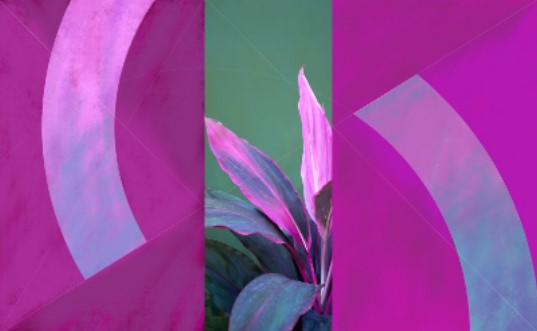 Bold striking image; three narrow leaves bordered by two vertical rectangles with broad curves overlaid on them.