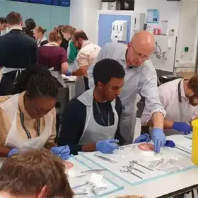 Trainees learning surgical skills in an informal classroom environment.
