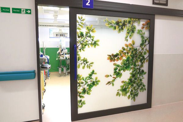 Sliding translucent door with sunlit leaves design, medical room behind.