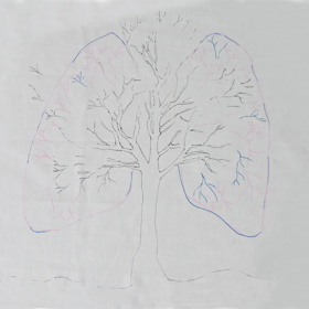 Outline drawing of a pair of lungs made to look like a tree.