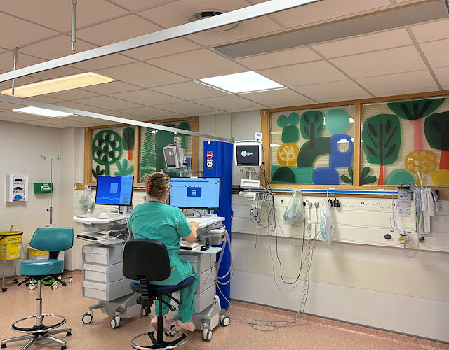 Rear view of nurse in scrubs, seated at computer console - bright stylised plant decals on four screens behind.