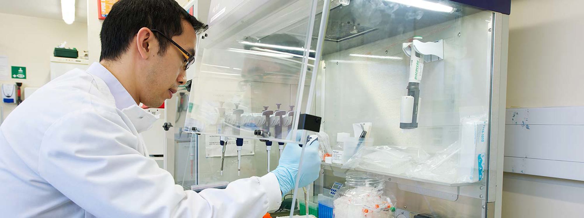 Laboratory worker in white coat and gloves works in front of a clear plastic screen