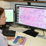 woman (Professor Verrill) looking at a digital pathology slide on a computer screen 