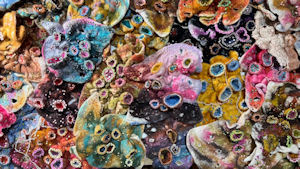 Organic colourful abstract pattern