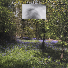 Photograph of English garden with small rectangular lung X-Ray image superimposed in the middle of the top half.