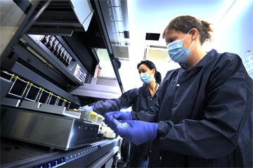 Two masked, gloved lab workers handle test tubes in lab setting
