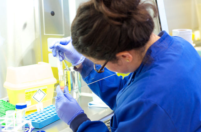 Laboratory worker places a pipette into a test tube