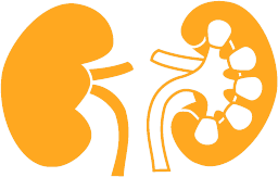 Oxford Kidney Unit logo