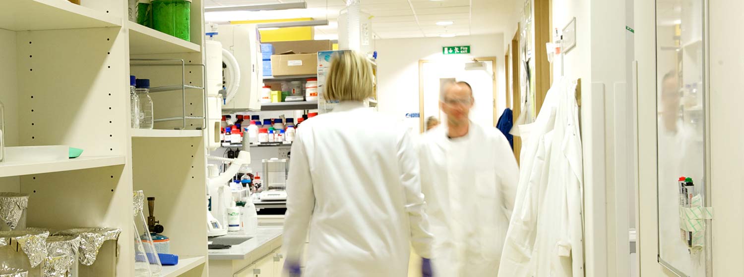 Cancer researchers in a laboratory