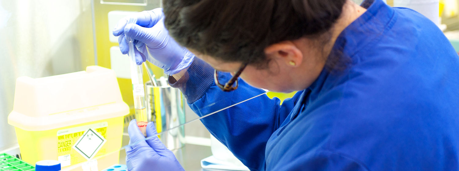 Two gloved hands holding a test tube and pipette