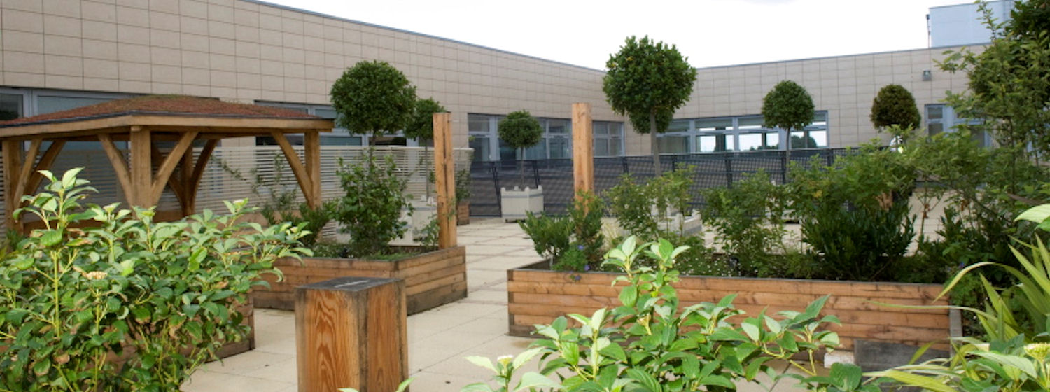 Courtyard garden at the Churchill Hospital